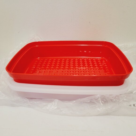 Tupperware Snack N Store Small Keeper Rectangle Container Passion Lid - Picture 1 of 3